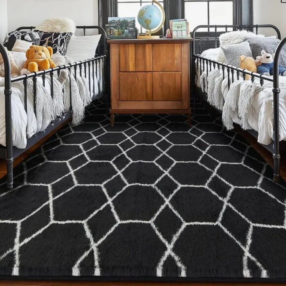 New 5x7 Feet Area Rug – Soft Shaggy Plush Fluffy Rug for Living Room